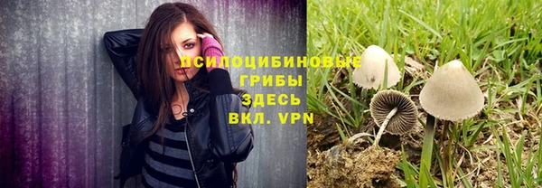 соль курить ск Алексеевка