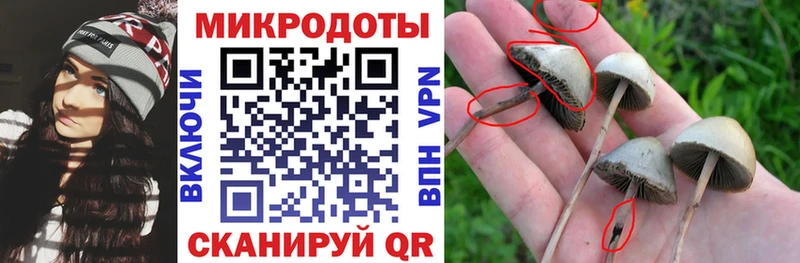 Галлюциногенные грибы прущие грибы  цена наркотик  Муром 